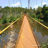 Kooveri Kadavu Hanging Bridge Kannur 